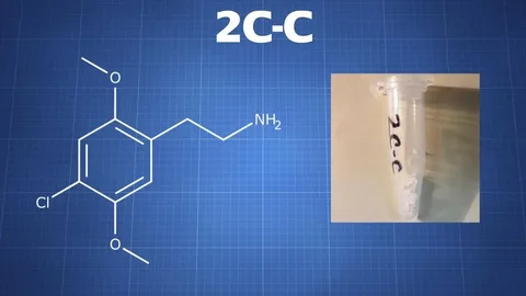 2,5-Dimethoxy-4-chlorophenethylamine