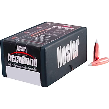 .300 Win Mag 180gr AccuBond