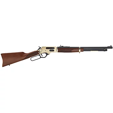 .45-70 Government