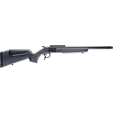 .45-70 Govt 300gr HP
