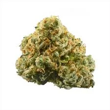 ACDC #2