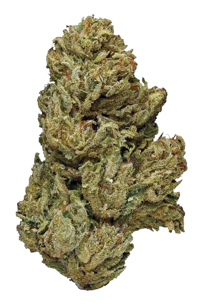 ACDC #2