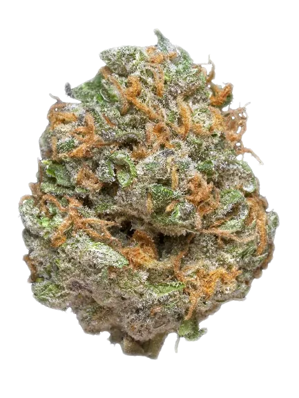 AK-47 Hybrid