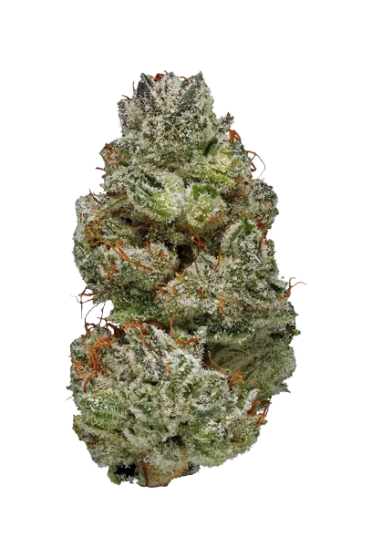 Alien Dawg #2