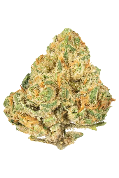 Alien OG