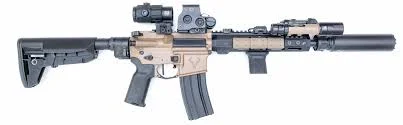 AR-15 Custom Carbine