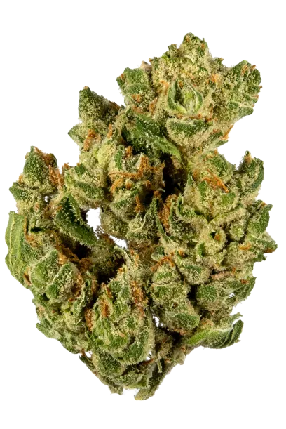 Banana OG
