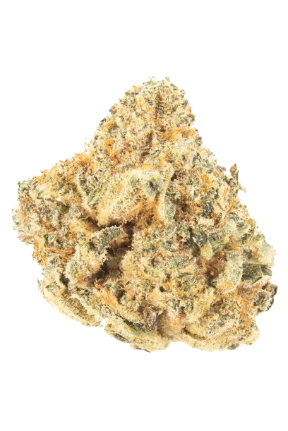 Biscotti