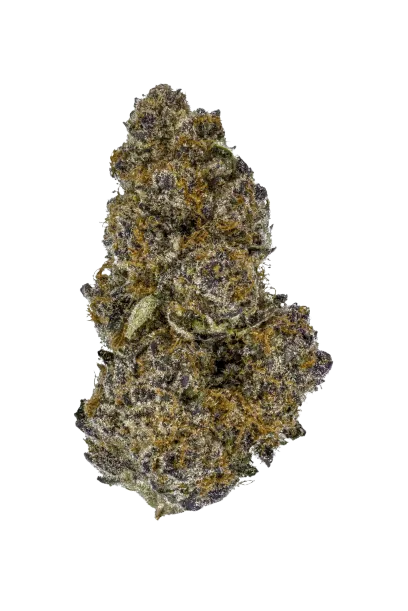 Blockberry (Superboof Cut)