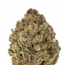 Blue Cheese #2