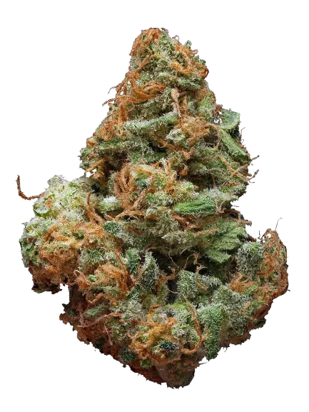 Blue Cheese #2