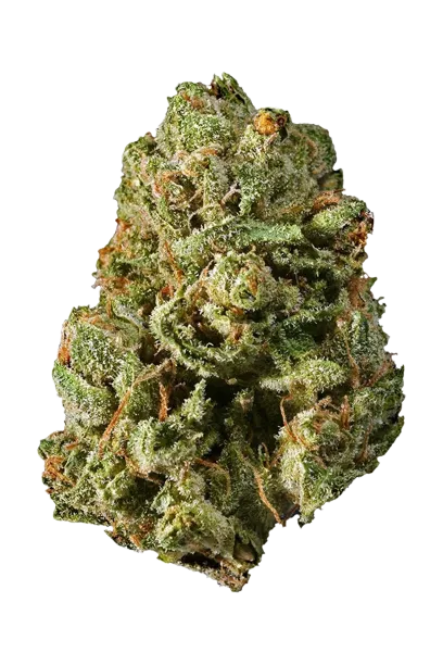 Blue Mystic