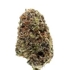 Blueberry #3