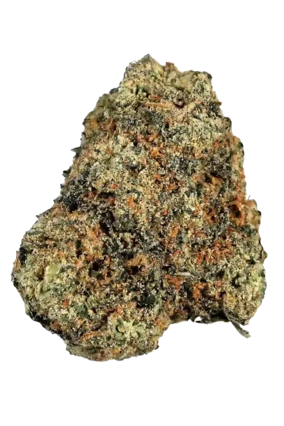 Blueberry #3