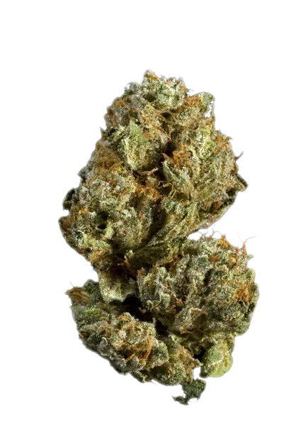 Blueberry