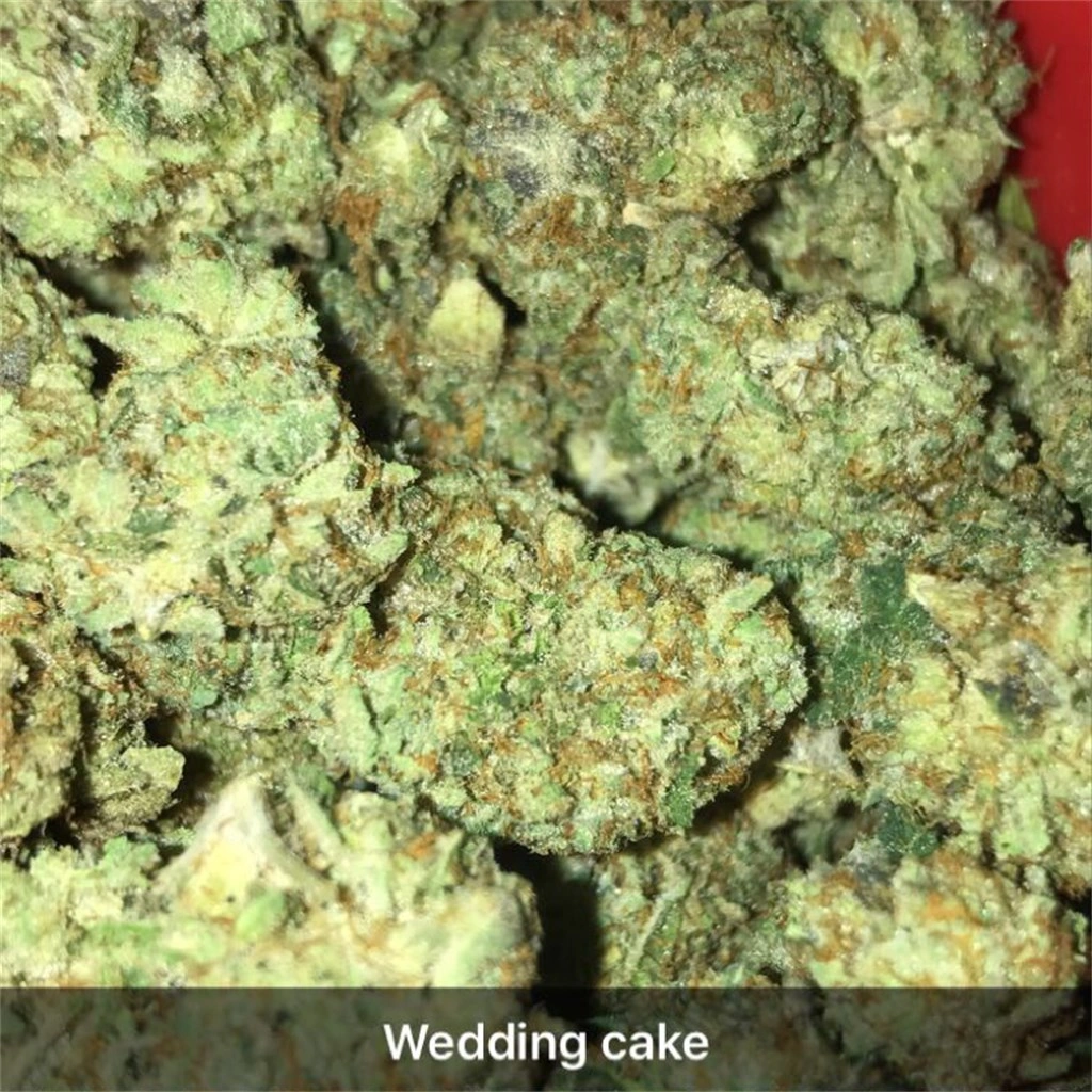 Bruce Banner #3