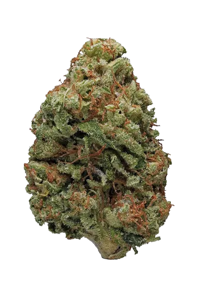 Bruce Banner