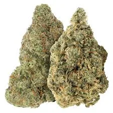 Bubblegum #2