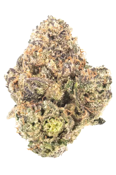 Bubblegum #2