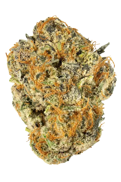 BUY HASH OIL ONLINE