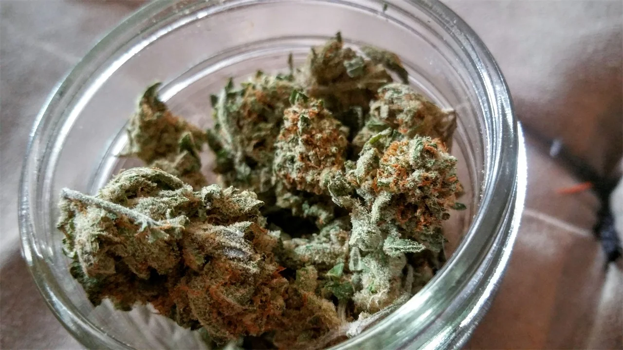 Cantaloupe Kush