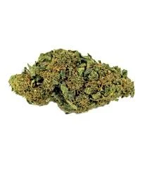 CBD Therapy