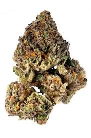Cherry OG #2