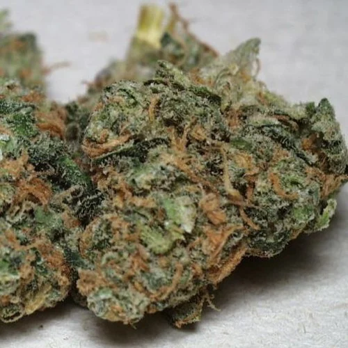 Critical Mass