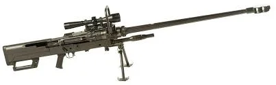 Denel NTW-20