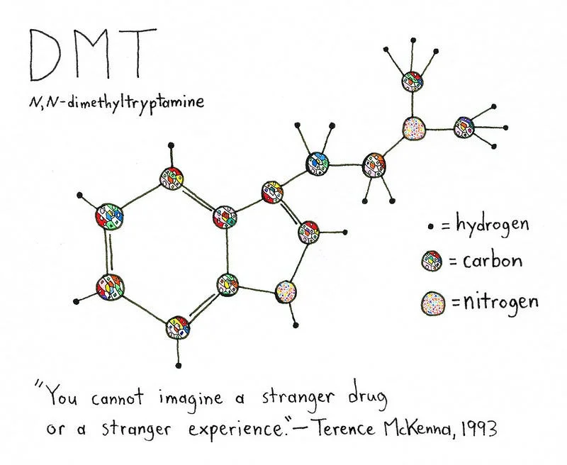 DMT human research