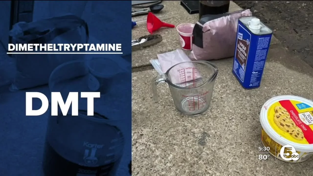 DMT underground lab