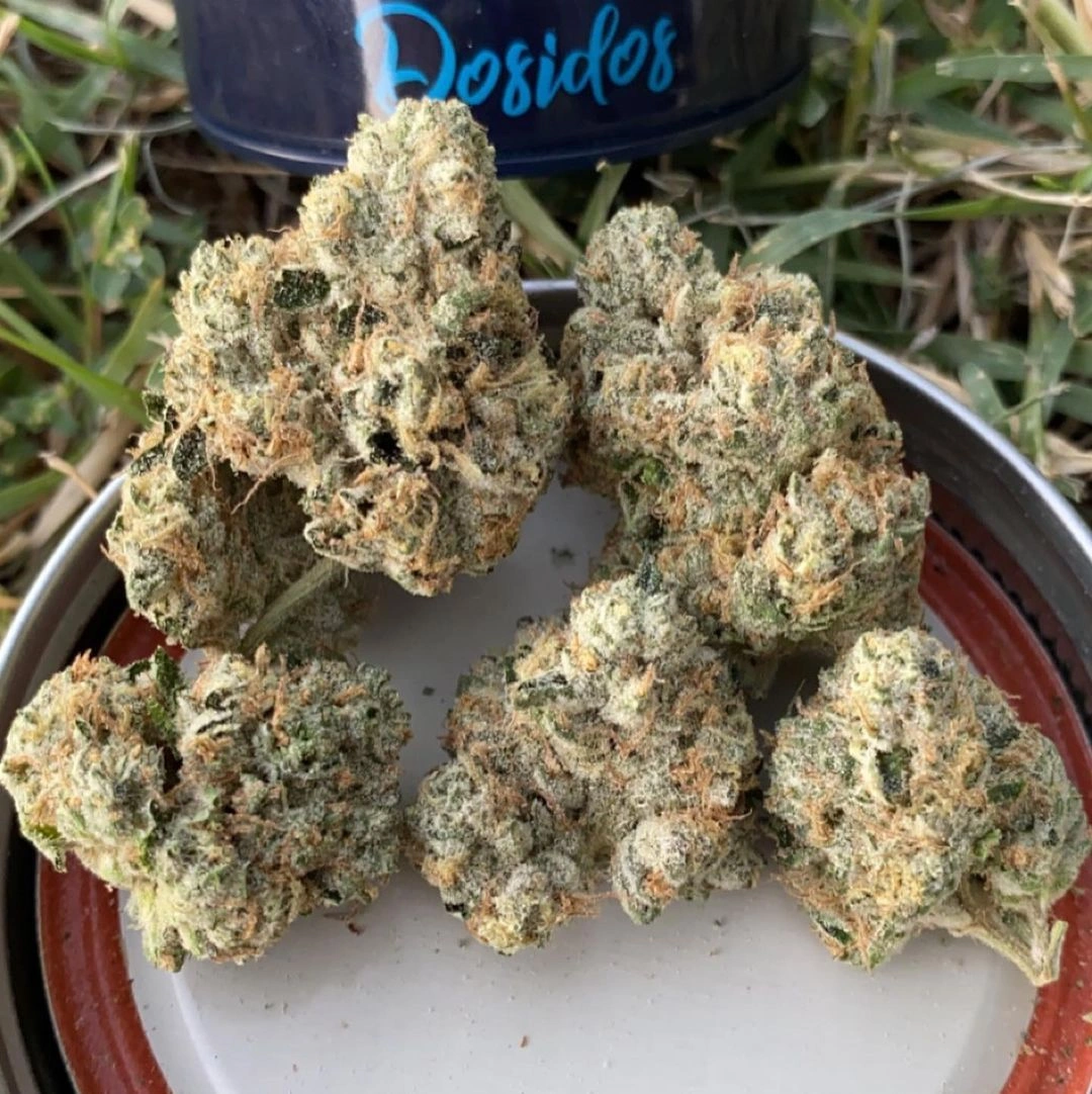 Do-Si-Dos #3