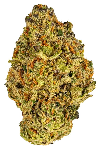 Dosidos