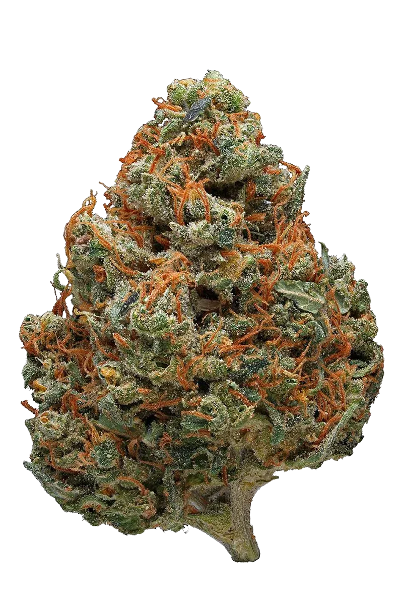 Durban Poison #3