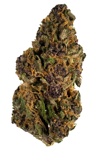 Forbidden Fruit