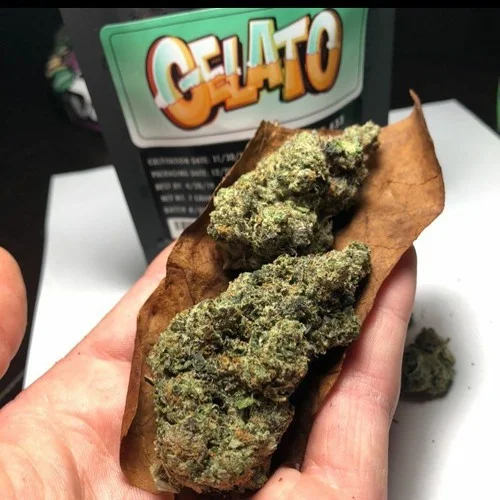 Frosted Gelato #3
