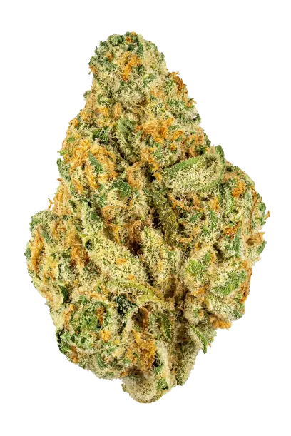 FUNKY BUDDHA BLEND