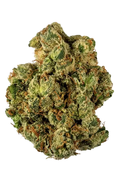 G13