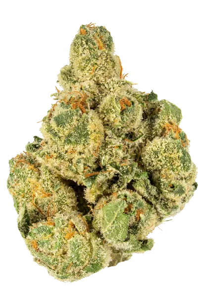 Gary Payton - Top Shelf Flower
