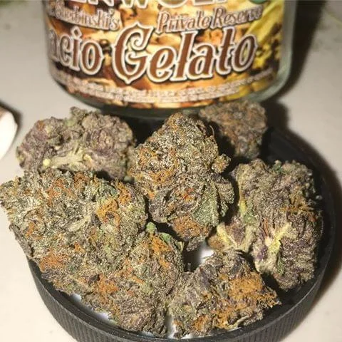 Gelato #2
