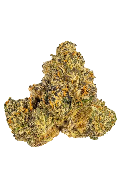 Gelato #43