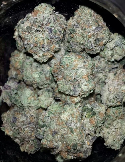 Gelato weed strain