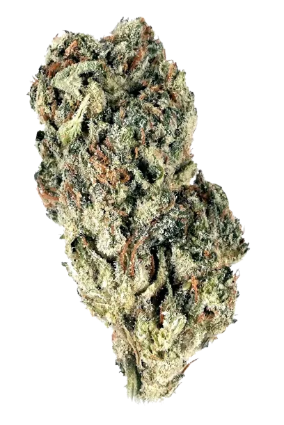 Ghost Train Haze