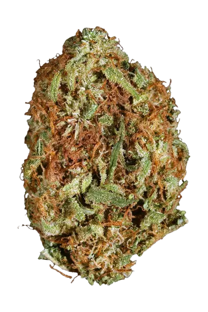 God Bud