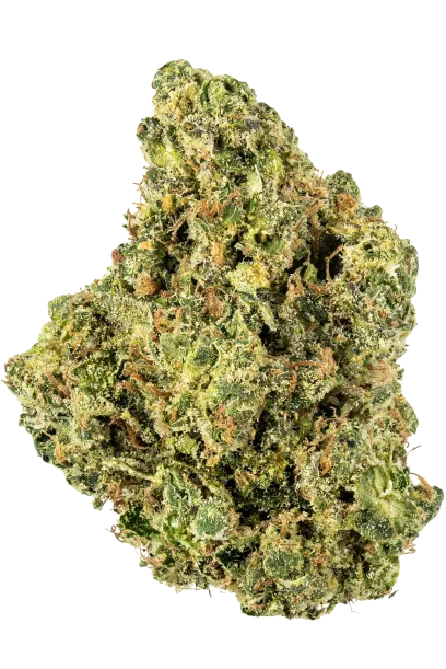 Gorilla Glue #6