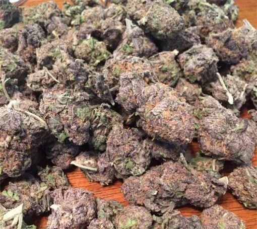 Granddaddy Purple #3