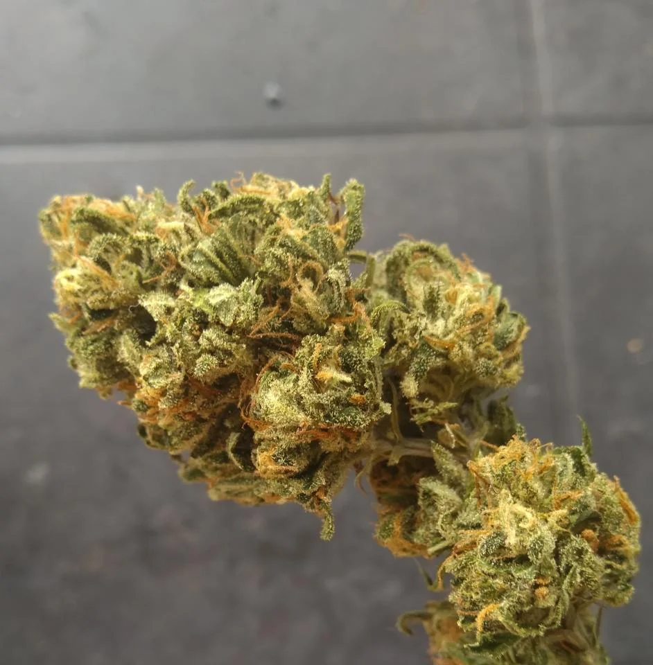 Green Crack #2