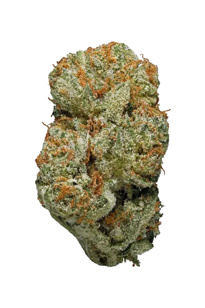 Hawaiian Snow #2