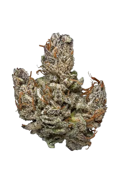Hindu Kush