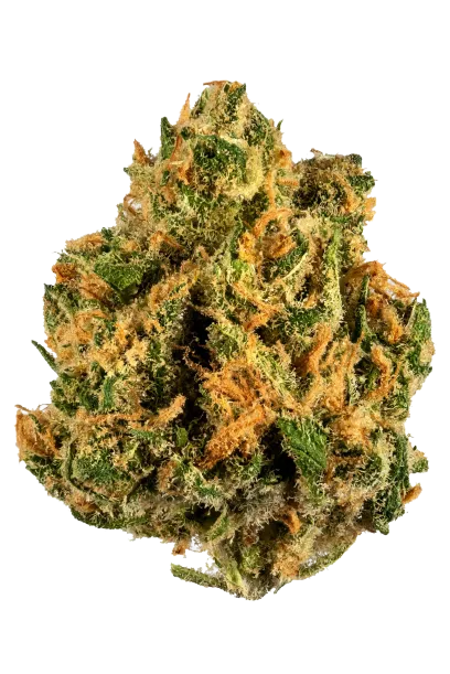 Island Sweet Skunk